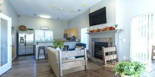 Walkabout Creek Gallery 19