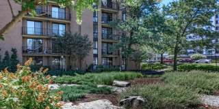 Whitestone at Landmark Gallery 1