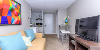 510 Main Apartments Gallery 6