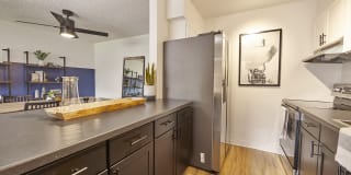 Novi at Lowry Gallery 18