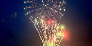 214 Brinley Avenue Gallery 26