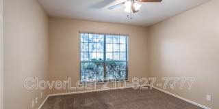 10343 Lion Chase Gallery 18