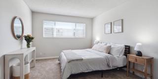 Del Coronado Gallery 12