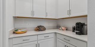 18542 Serene Lake Loop Gallery 30