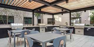 The Deveraux Gallery 19