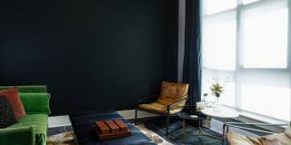 Avalon Hawk Gallery 19