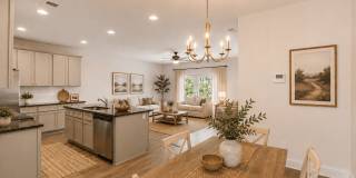 Parkwood Terrace Gallery 51