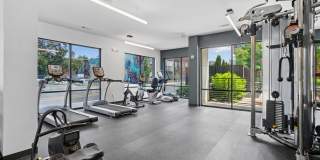 The Patton Gallery 3