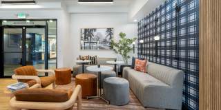 Elm at Panorama Gallery 35