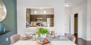 Wellington Parkside Gallery 3