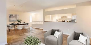 Coconut Palm Club Gallery 60