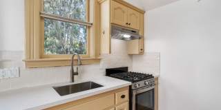 1314 Palm Gallery 24