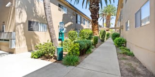 Parthenia Terrace Apartments Gallery 16