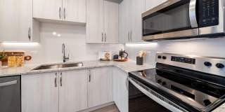 Mira at Palmer Ranch - 55+ Senior Living Community Gallery 2