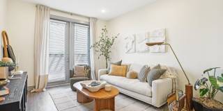 The Anderson Gallery 21