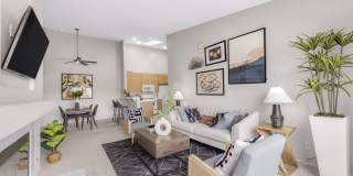 Sofi Canyon Hills Gallery 4