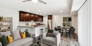 Hampton Manor Gallery 4