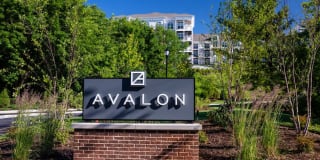 Avalon Boonton Gallery 30