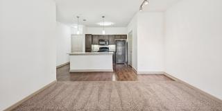 Anatole on MacArthur Gallery 12