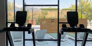 The Kestrel Gallery 3