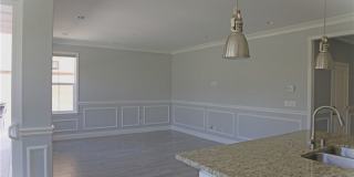 132 Island Coral Gallery 14