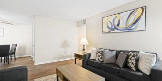 Diamond Trail Gallery 8