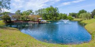 5908 Eagle Point Gallery 4