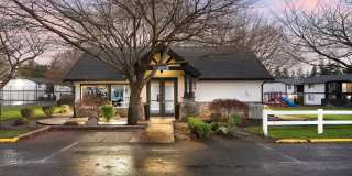 ReNew Dash Point Gallery 65