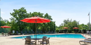 Madison Rockwood Gallery 4