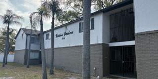 Beautifully Renovated 1BR in the Heart of South Tampa Gallery 1