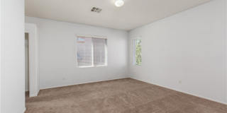 8277 Brilliant Pompon Place Gallery 14