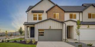 Mt. Rainier Gallery 1