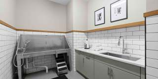 The Junction at Rockledge Gallery 71