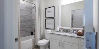 Waterleaf at Cold Springs Gallery 16