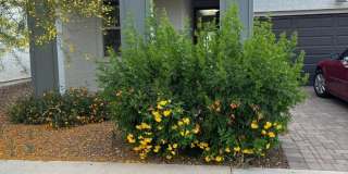 5630 S Daisy Patch Place Gallery 1