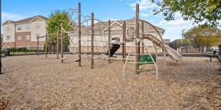 Amelia Station Gallery 32