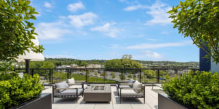 Northlight Gallery 64