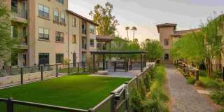 Manor Scottsdale Gallery 14