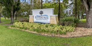 RiverTree Gallery 21