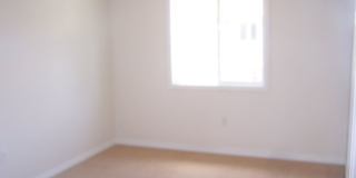 11 Fuller Cir Gallery 12