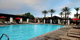 Spacious 3 Bed / 3.5 Bath Condo in The Preserve Community Gallery 20