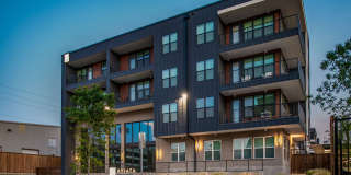 Aviata West Love Gallery 1