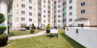 The Cosmopolitan Apartments Gallery 8