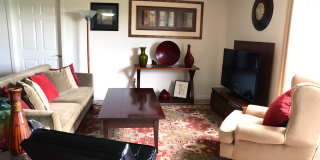 Chestnut Hill East Gallery 16