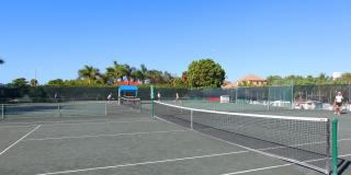 606 OWL WAY Gallery 41