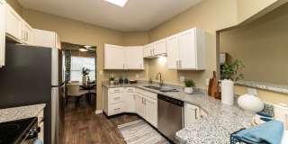 Cooper Creek Gallery 2