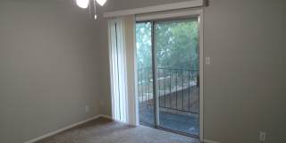 Cool 4-Plex walking distance to Zilker Park and Barton Springs Gallery 9