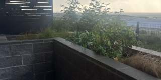 Brand New Three Bedroom Townhouse Gallery 17