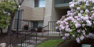 Quiet ground floor unit with access to large grassy area Gallery 1