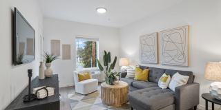 The Oliveen Gallery 4